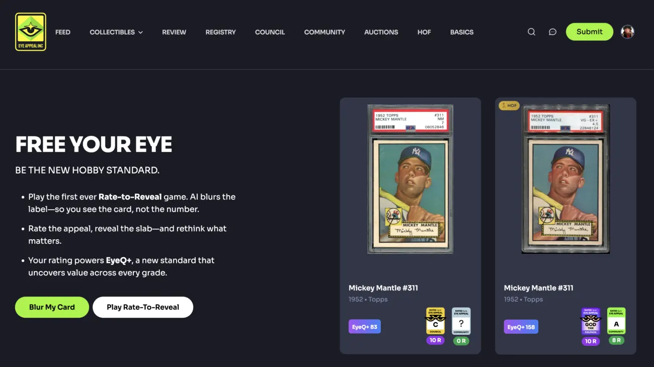 Eye Appeal Inc. ecommerce site built by Steven J. Hubbard